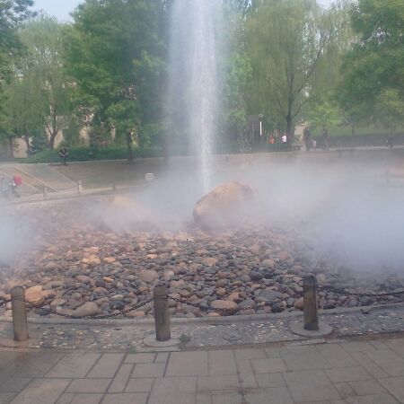 爱吃一品蛋酥的美甲师19