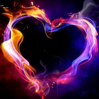 爱吃辣椒炒藕的豪侠