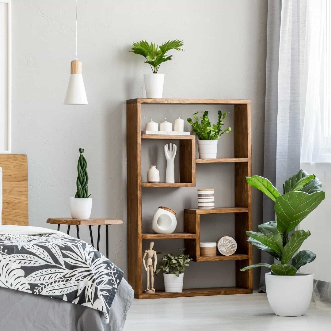 吹你吹过的晨风1