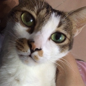 我只想和你一起