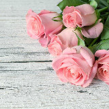 武豆豆的小世界