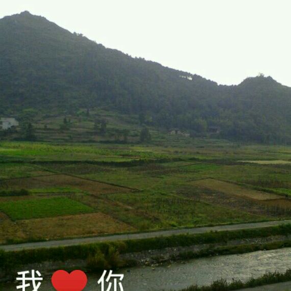 来自星球的小蒋