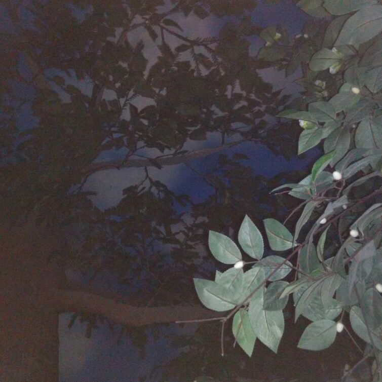 一个小时前的你