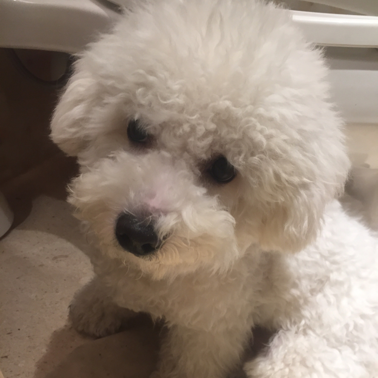 桃桃姐请你吃桃