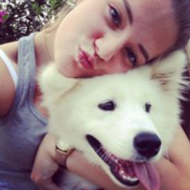 爱德华-纽盖特.