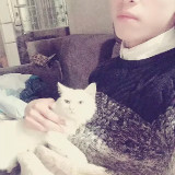 穷屌丝的富贵梦