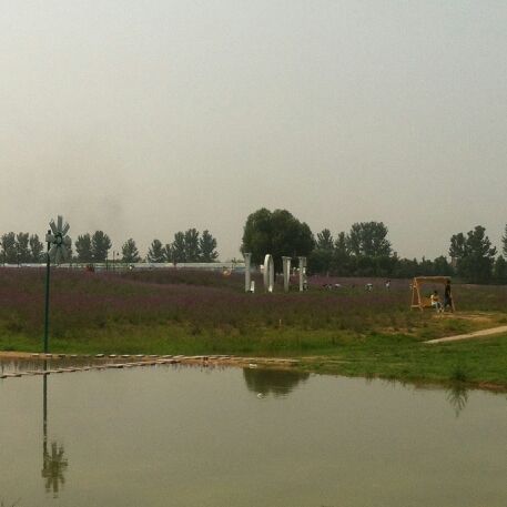 我我我是小D同学