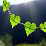 贪嗔痴会少一些