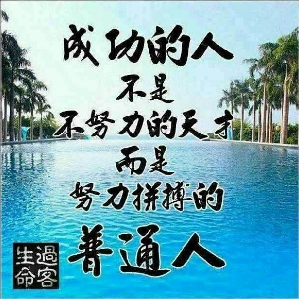 城市猎人の淸仯