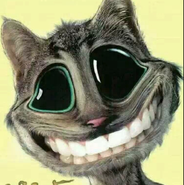 爱吃三丝拌蛏的画家