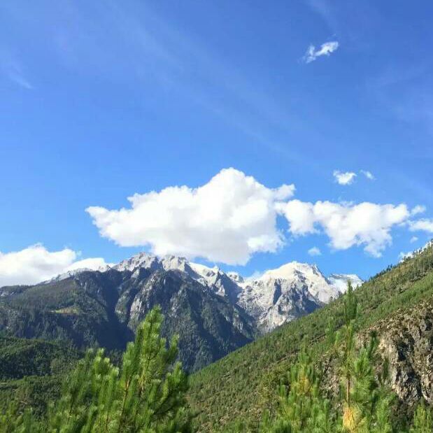 惊艳了一地绝处逢生