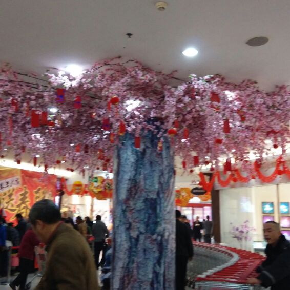 爱吃大拌凉菜的奇异果的幸