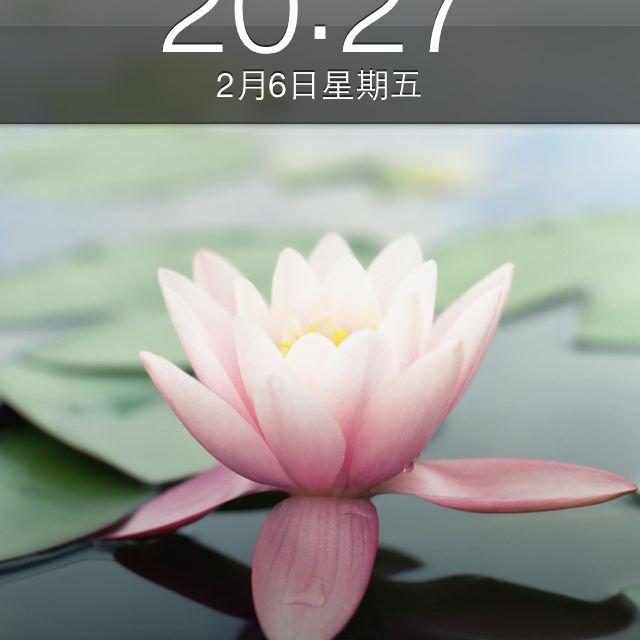 随心所欲，想买就买