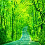 保持微笑的小斌