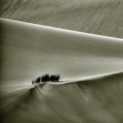 不会抢篮板滴胖厨子