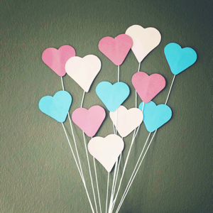 爱吃土豆丝的佳人