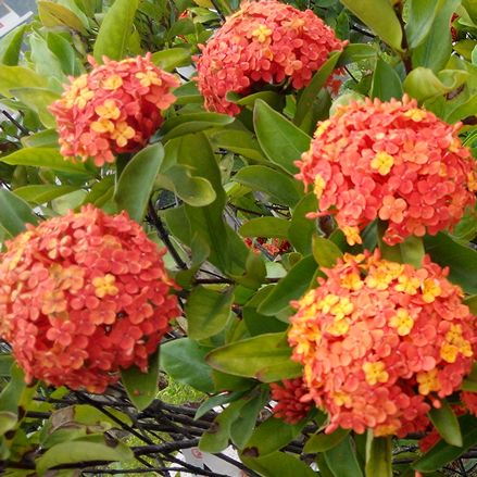 快递哥哥，你辛苦了。