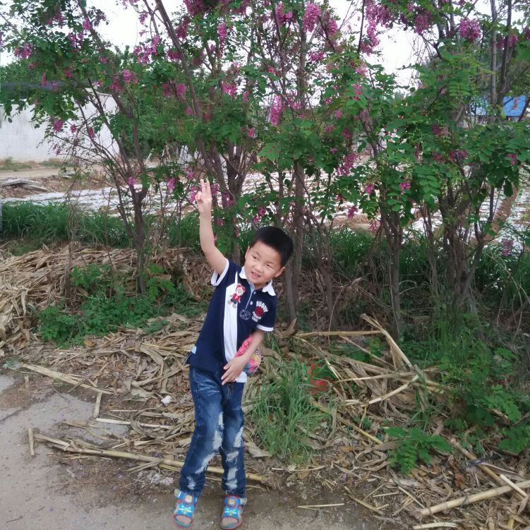 爱吃烤大鸡翅的圣代