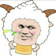 时光走了我还在、