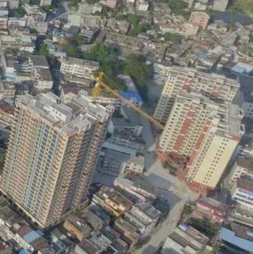 爱吃甘梅地瓜的黛西