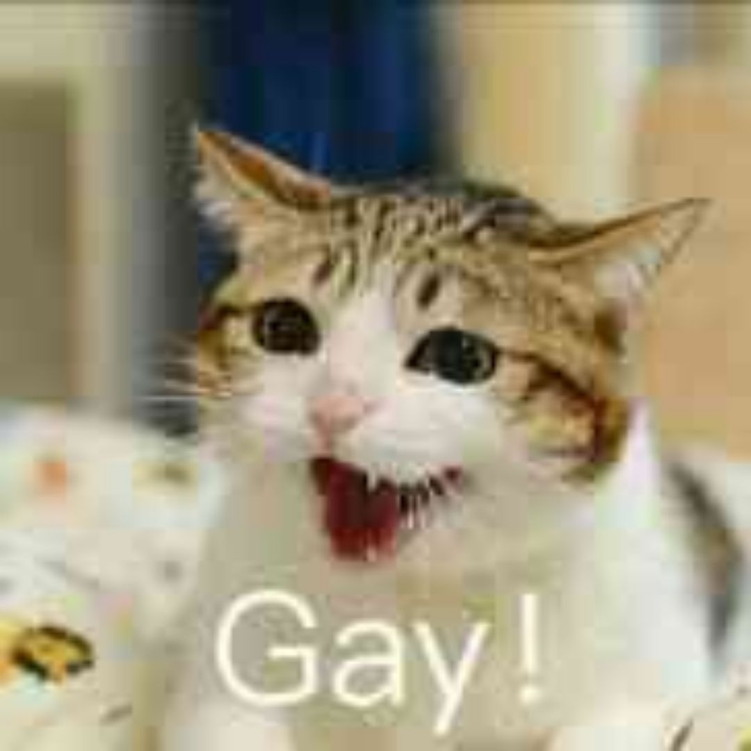 晚睡的星光守夜人