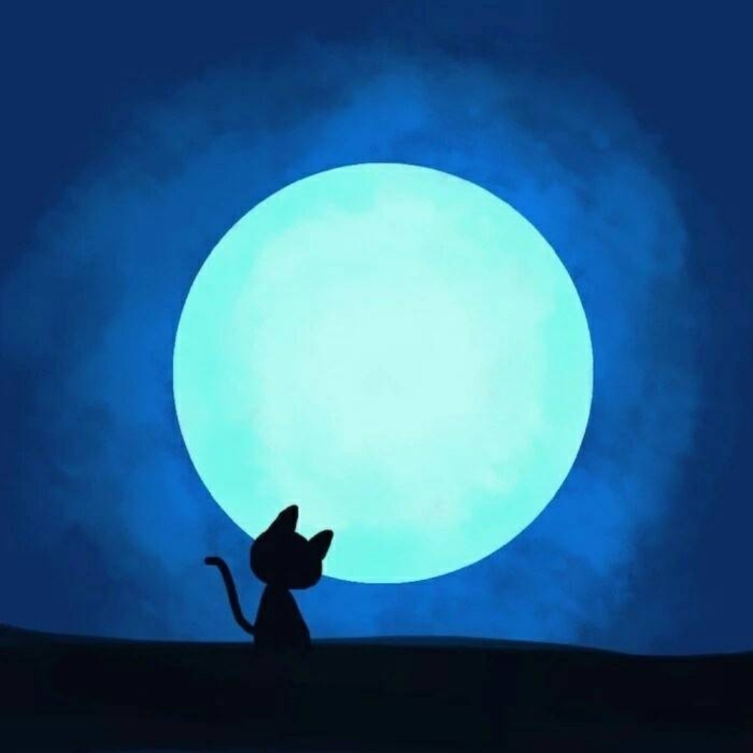 一只小小小咸鱼啊