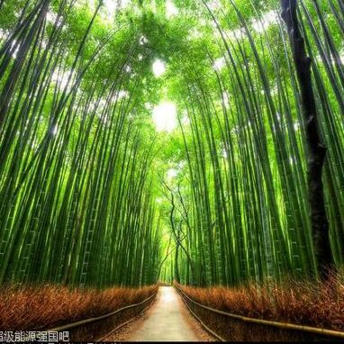 小小诚和小小铭