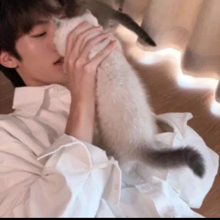 你的网购男友已上线