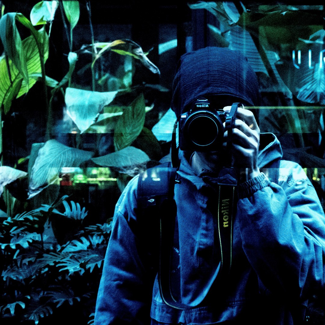 奆奆在线打老虎