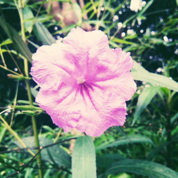 梦，。？&amp;hellip;？