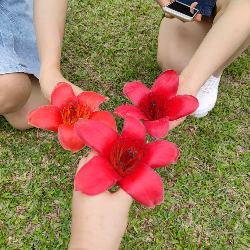 爱吃彩色面条的曲奇