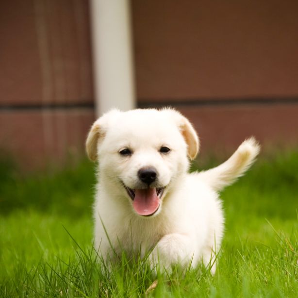 爱读书的好孩子1818