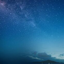 巴音布鲁克雄鹰