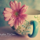 古娜拉黑暗之神德玛