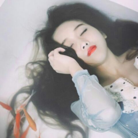 一条没有记忆的鱼11