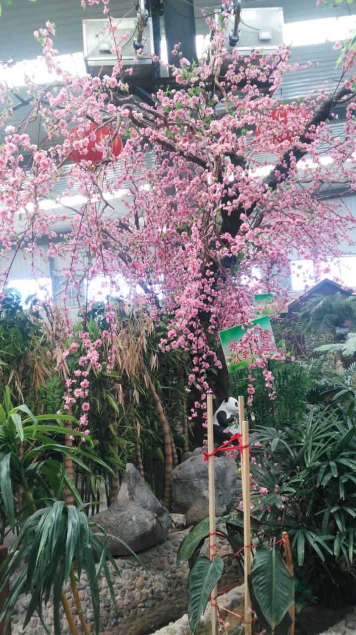 爱吃烤肉披萨的杏仁