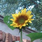 ^O^温馨的港湾:^O^