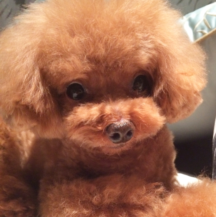 深深啊就是深深