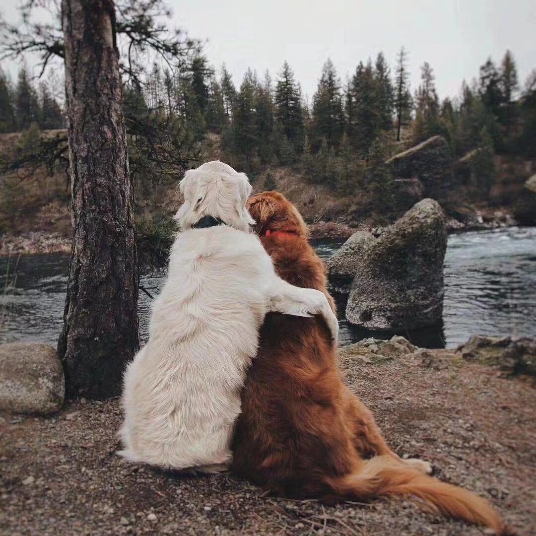 爱情买卖不完美i