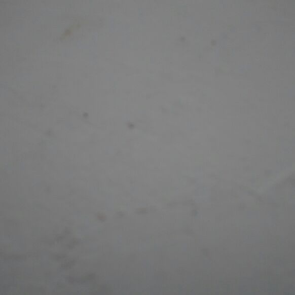 爱吃裙带菜粥的格子