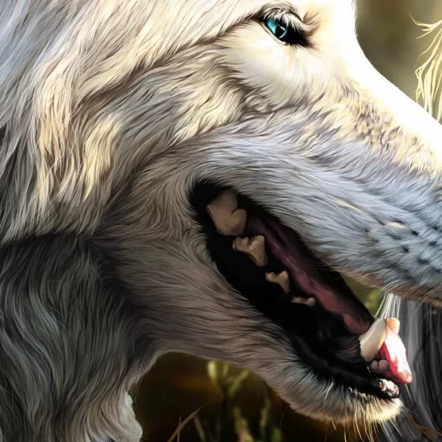 加载中丶丶丶丶丶