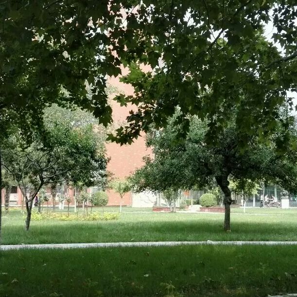 爱是一种宇宙意志