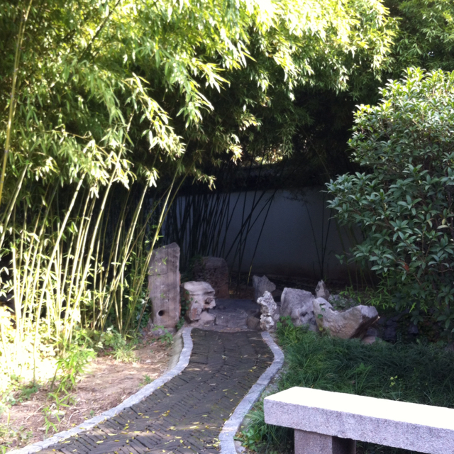 小酒窝很灵活09