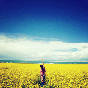 石头城稳重的灯草