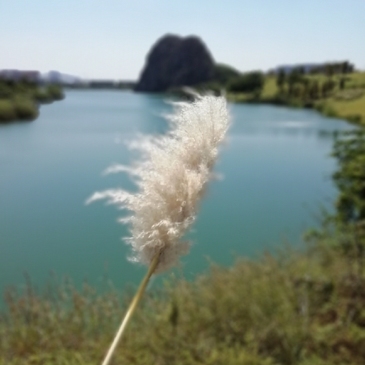 爱吃水煮牛肉的凤梨酥08