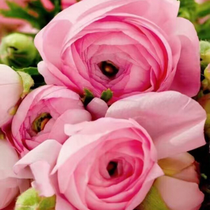 好好生活好好珍惜:)