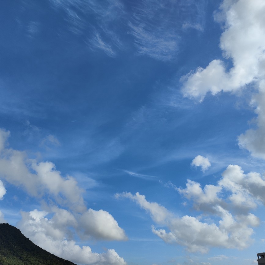 爱吃铁锅羊排的毛毛