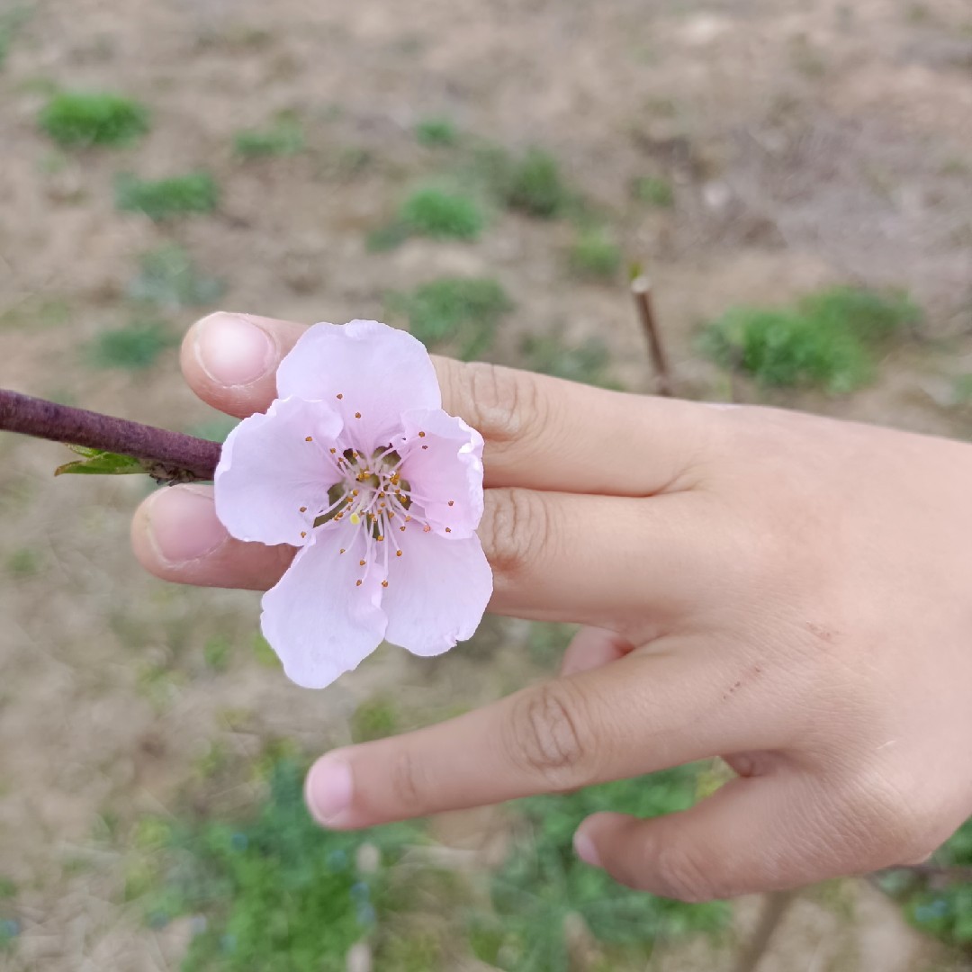 晚饭怎么吃