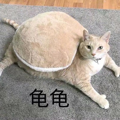伤心猫猫侠