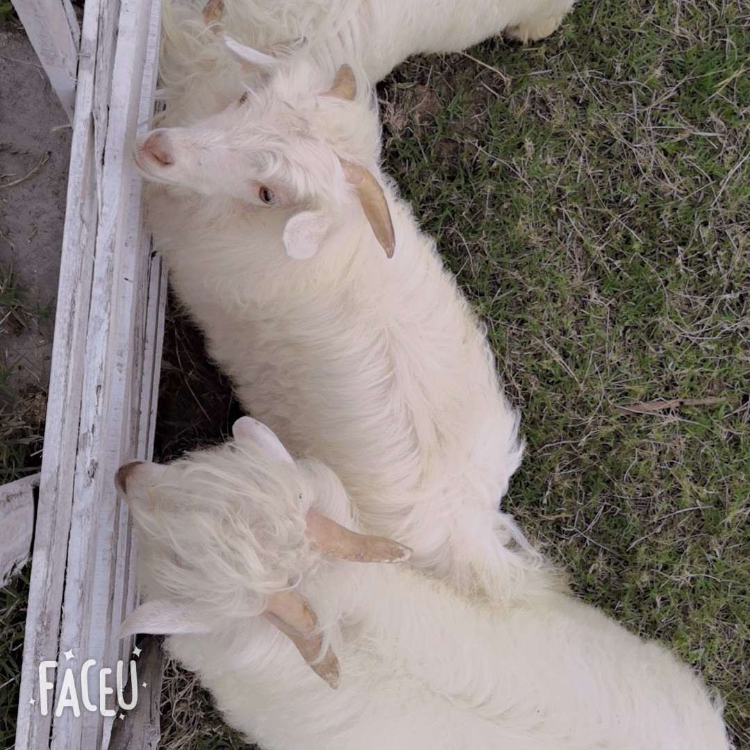 骑上我心爱的小摩托